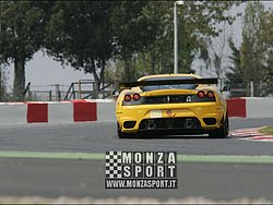 090405pb_bracellona_lms_111.jpg