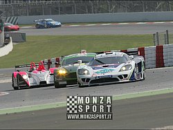 090405pb_bracellona_lms_113.jpg