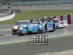 090405pb_bracellona_lms_114.jpg