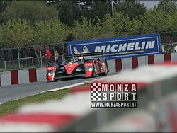 090405pb_bracellona_lms_115.jpg