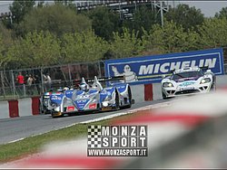 090405pb_bracellona_lms_117.jpg