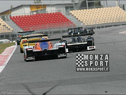 090405pb_bracellona_lms_120.jpg