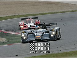 090405pb_bracellona_lms_121.jpg