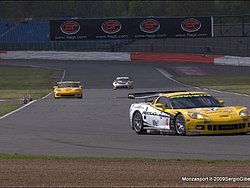 090502sg_silverstone_fiagt-65.jpg
