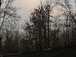 091129pb_monza_rally_13.jpg