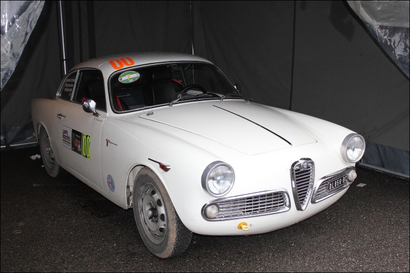 monza_rally_show_20150515_1685171148.jpg