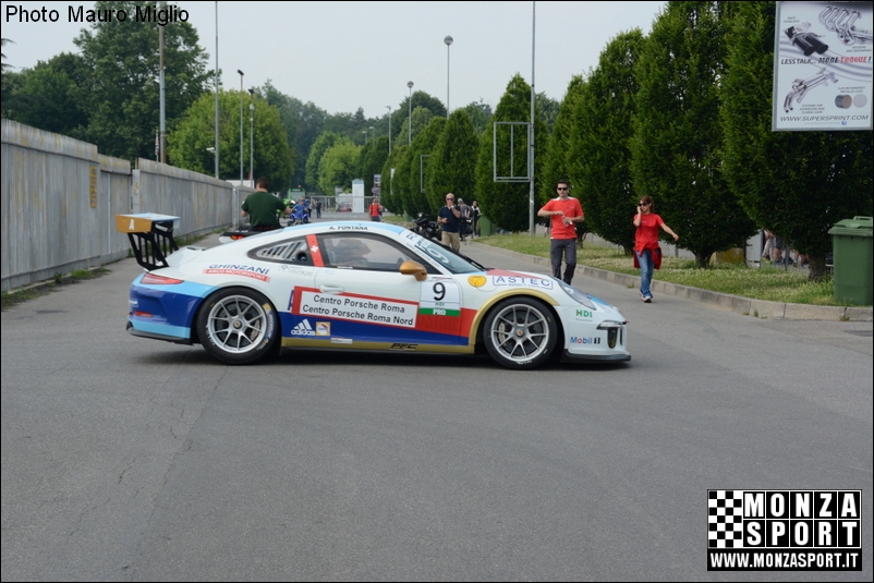 DSC_1339.jpg