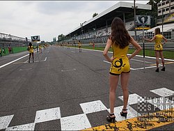 monza_fia_f3_european_championship_20150603_1430862182.jpg