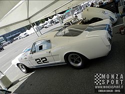 P7100461.JPG
