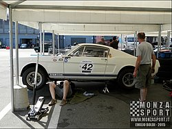 P7100486.JPG