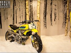 DSC_4882.jpg