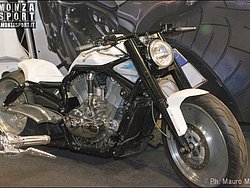 DSC_4913.jpg