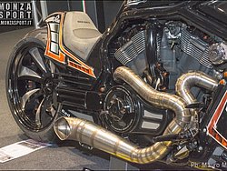 DSC_4950.jpg