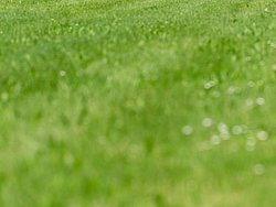 180513_elms_monza_17.jpg