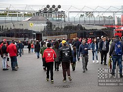 181104_ferrarifm_monza_03.jpg