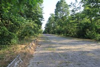 autodromo di monza circuito pirelli.