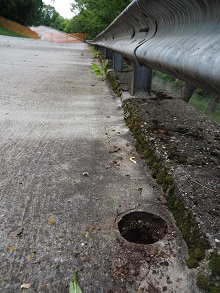 autodromo di monza marmotte pista sopraelevata